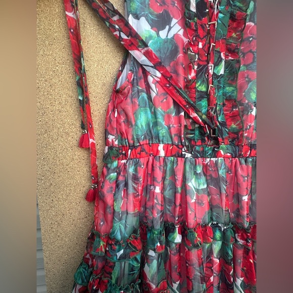 Colorful Floral Dress with Ruffle Accents Buckle Tie Up Back Size 3XL - Picture 5 of 8